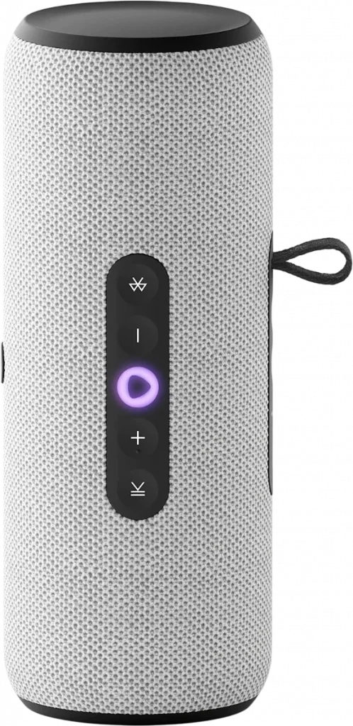 Умная колонка Яндекс Станция Стрит, Серый (YNDX-00030GRY)