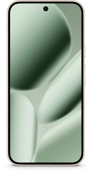Смартфон Google Pixel 10 Pro 16/256Гб, Нефритовый (CA/GB)
