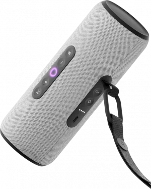 Умная колонка Яндекс Станция Стрит, Серый (YNDX-00030GRY)